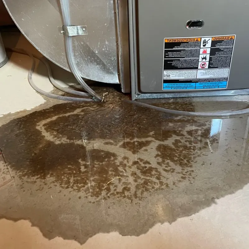 Pipe Burst and Leak Restoration in Chelsea, ME