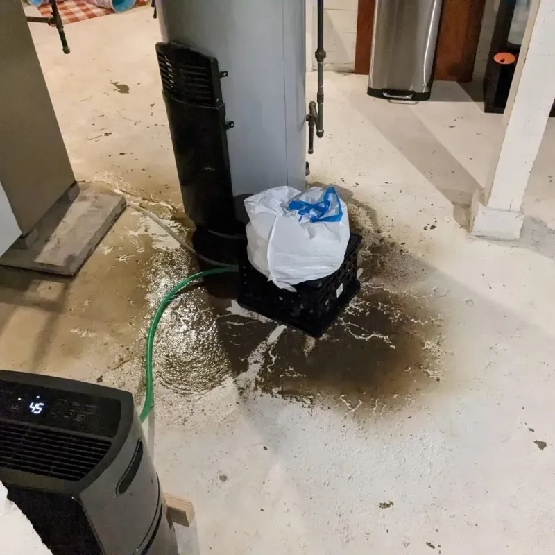 Sewage Backup Cleanup Service in Chelsea, ME